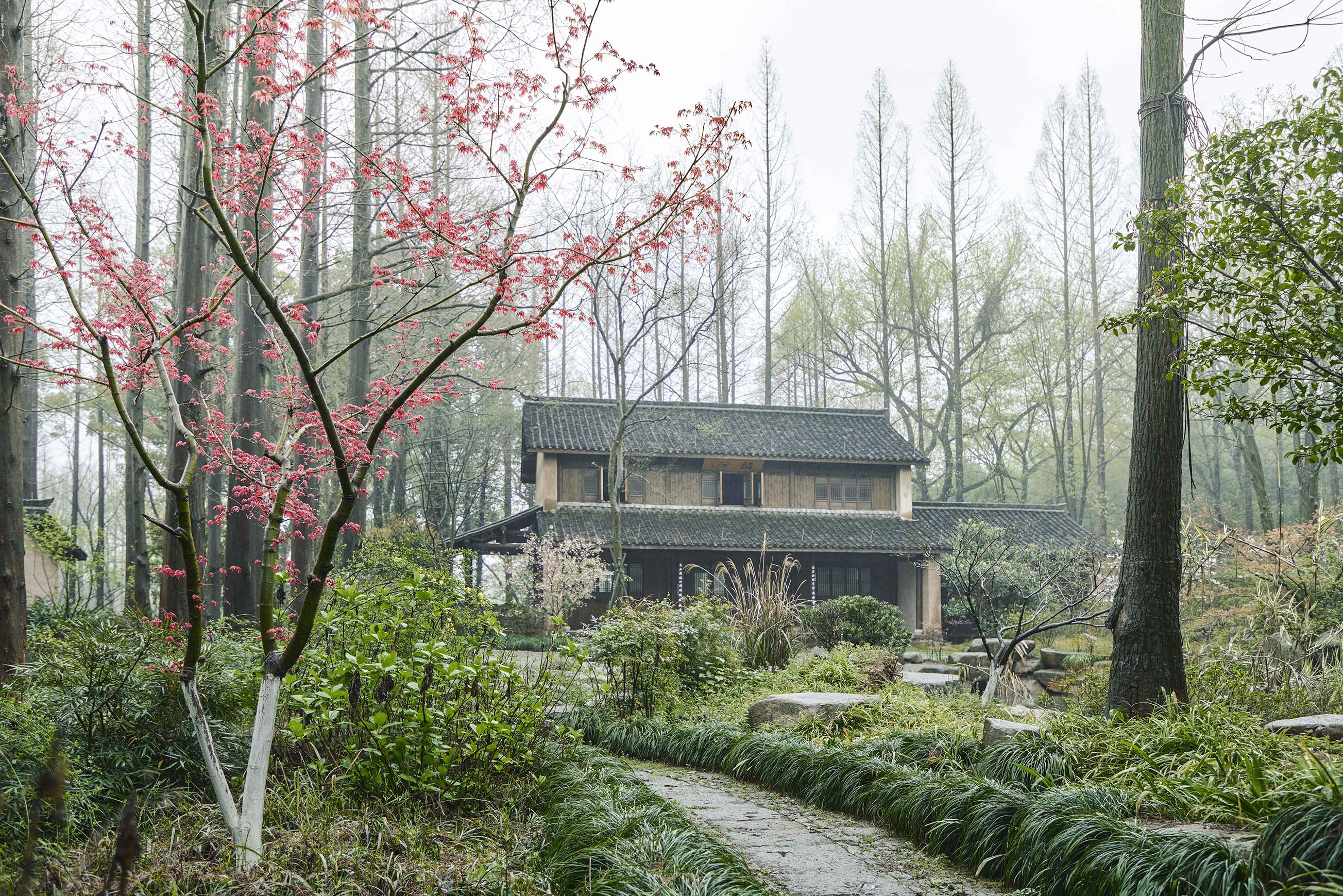 图6 植物布置层次分明，形态各异，共同装点出蔷薇园的如画风光.jpg